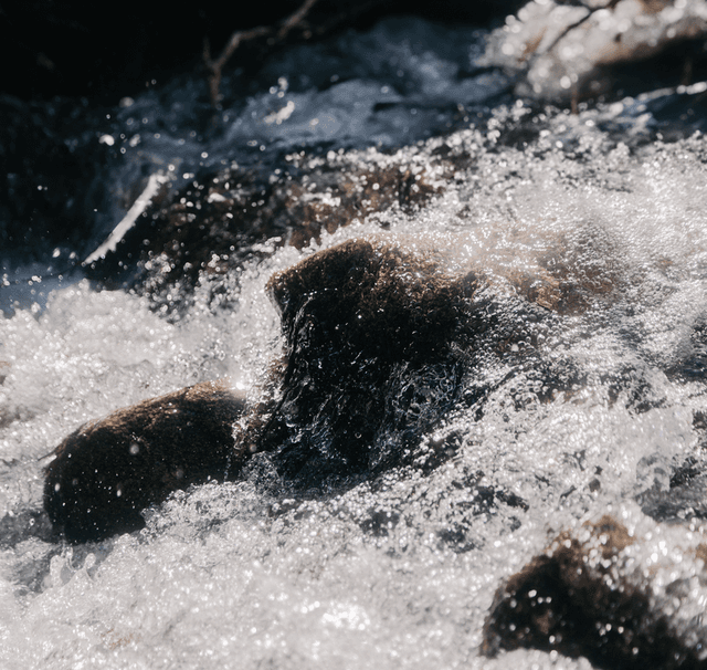 Splash image for CarbonRun