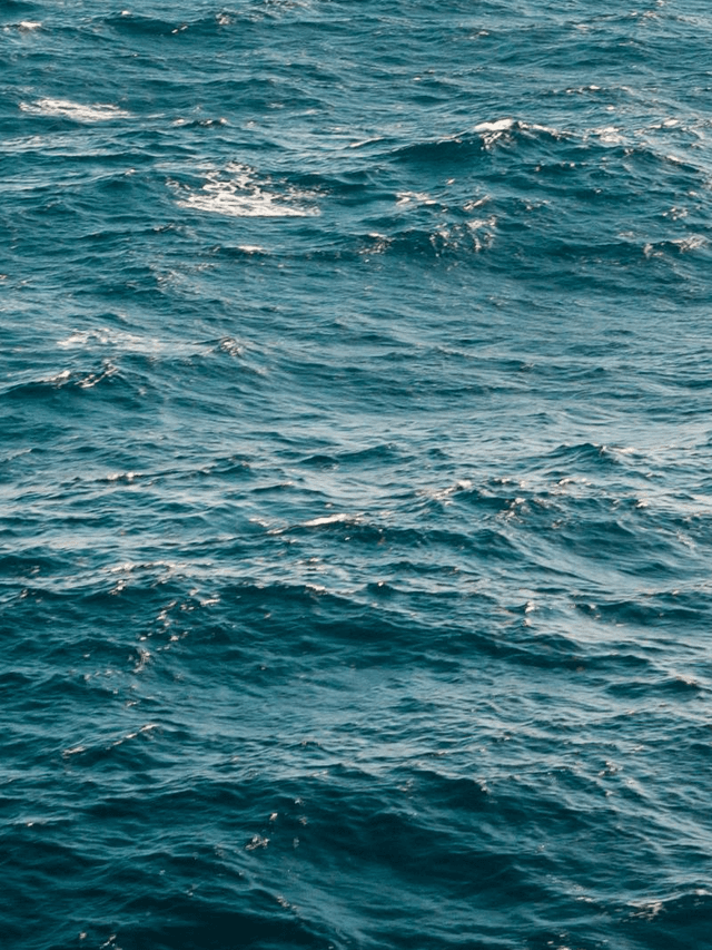 Splash image for PRONOE