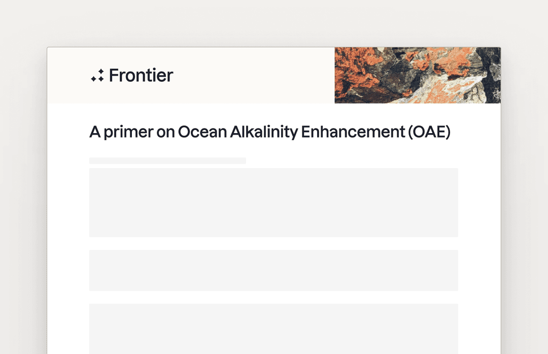 Preview for "Ocean Alkalinity Enhancement primer"