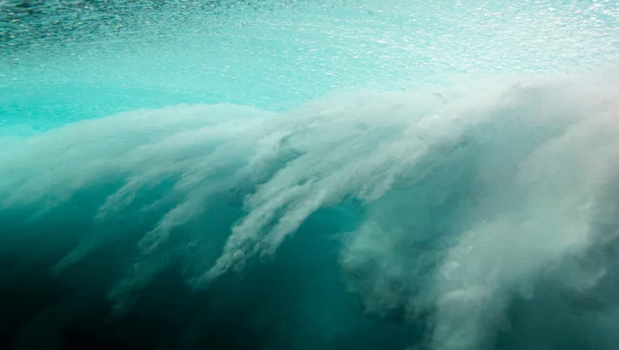 Ebb project image