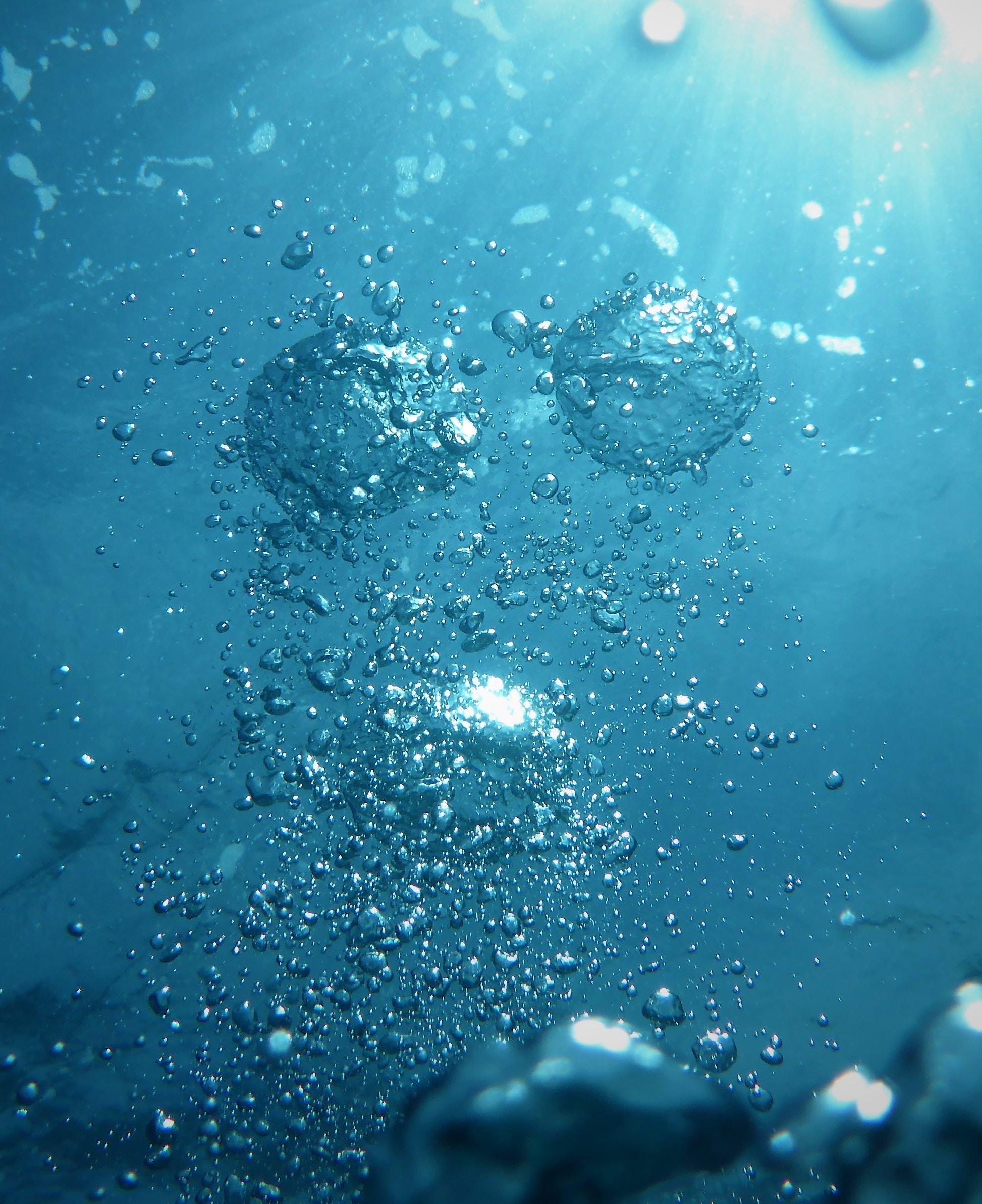 Rewind.earth project image
