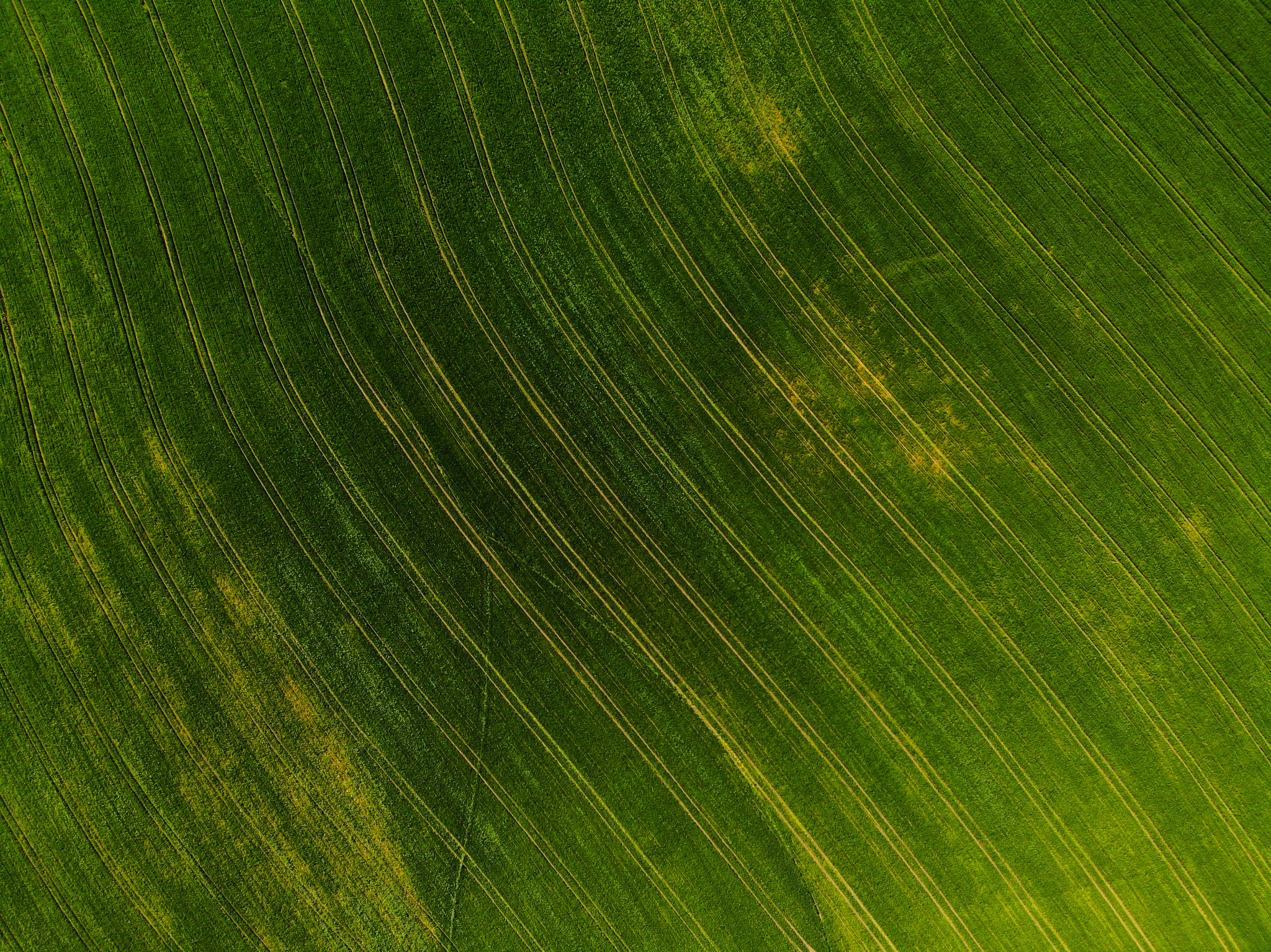 Terradot project image